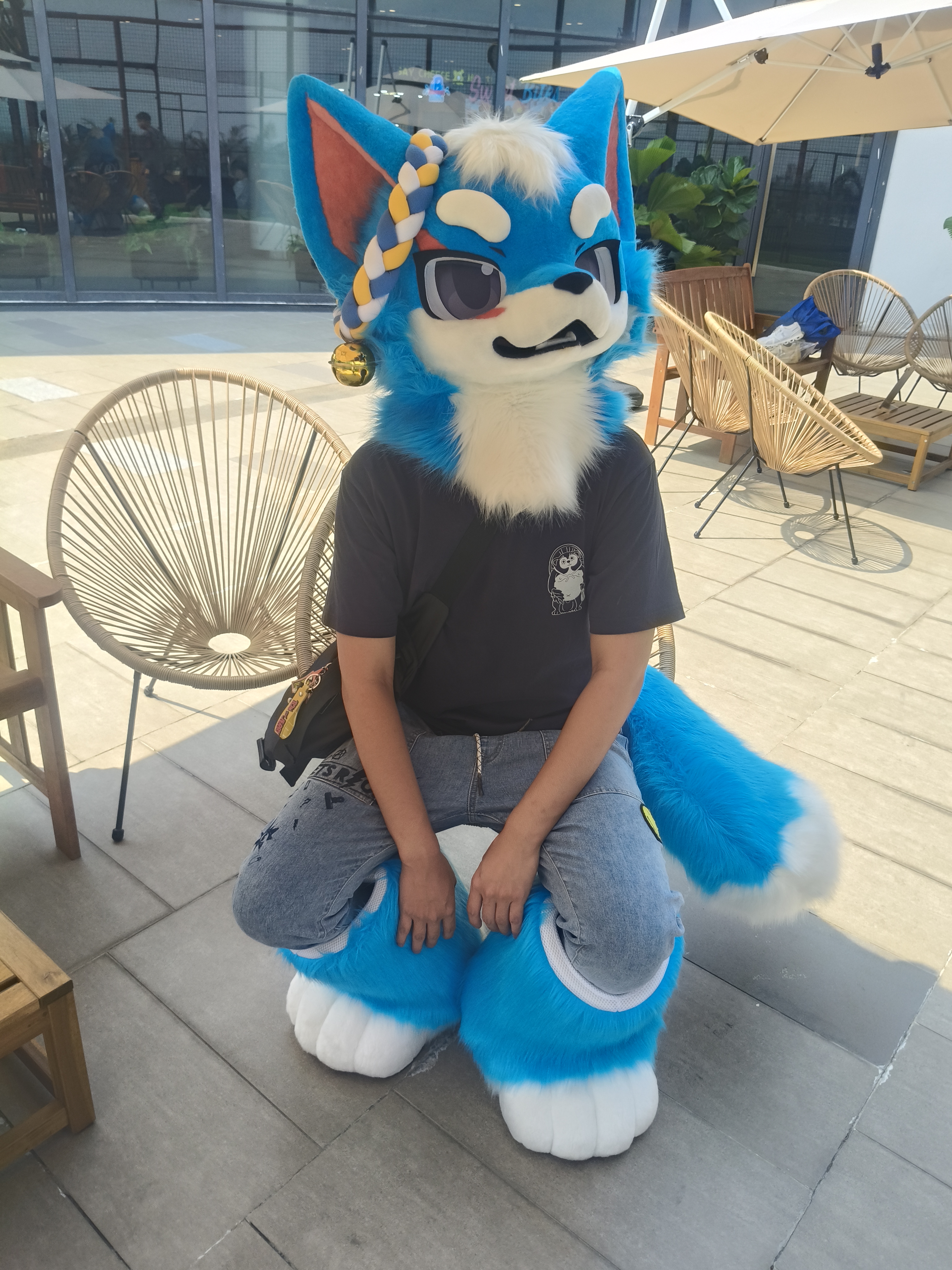 fursuit 3