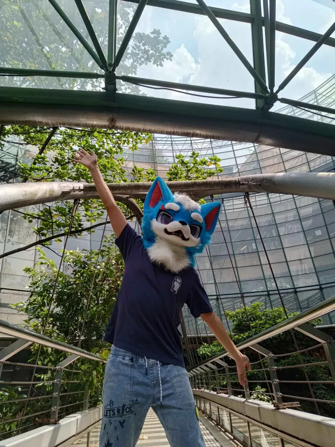 fursuit 4