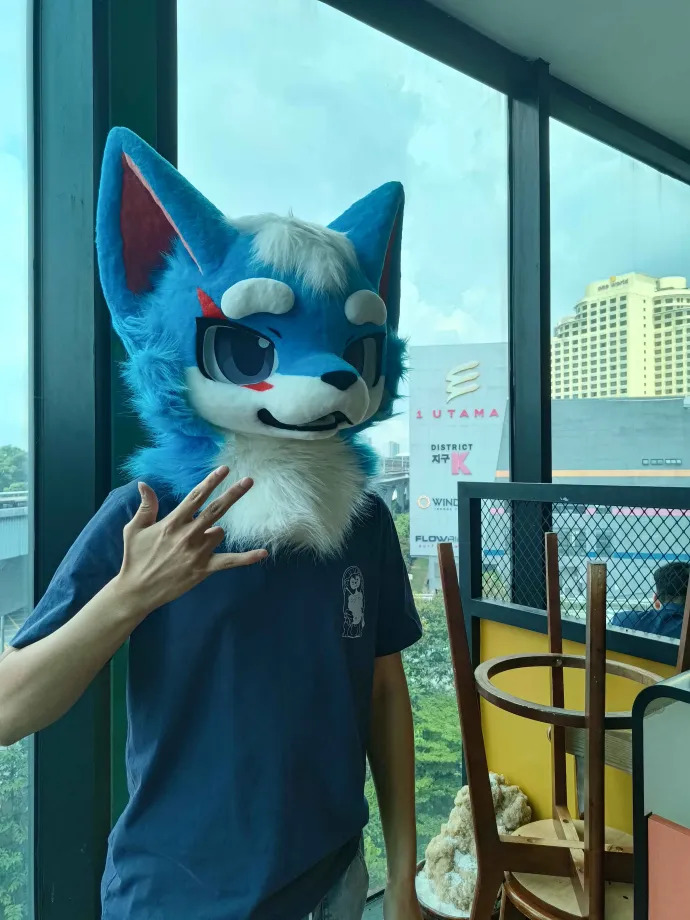 fursuit 5